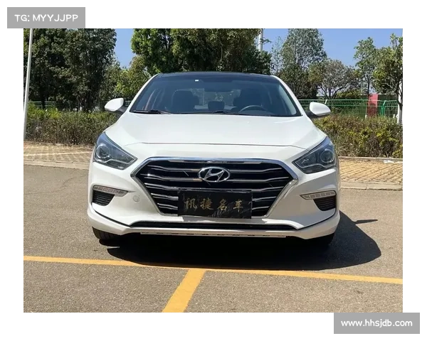 买车精算师超值中型车现代名图购车手册 买车精算师超值中型车现代名图购车手册